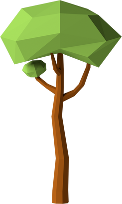 Nature Tall Tree 
